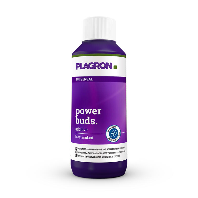 Plagron UNIVERSAL power buds-0.1 l